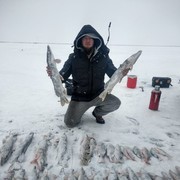 ���������� ������, ���� ������� ���������, 41 ���, ������������ ��� ������, ����� � ���������, c�������� ���������