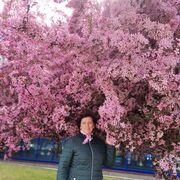 ���������� �����, ���� ������� �������, 55 ���, ������������ ��� ������, ����� � ���������, c�������� ���������