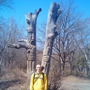 ���������� �������, ���� ������� Murkot, 50 ���, ������������ ��� ������