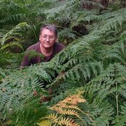 ���������� ������, ���� ������� ��������, 48 ���, ������������ ��� ������, ����� � ���������