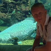 ���������� ������, ���� ������� ������, 43 ����, ������������ ��� ������, ����� � ���������, c�������� ���������, ���������