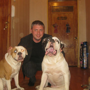 ���������� ������, ���� ������� ������, 50 ���, ������������ ��� ������, ����� � ���������, c�������� ���������