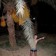 ���������� �����, ���� ������� ���������, 38 ���, ������������ ��� ������, ����� � ���������, c�������� ���������