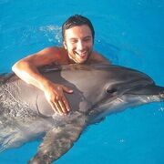 ���������� ������ ��������, ���� ������� ��� �������, 37 ���, ������������ ��� ������, ����� � ���������, c�������� ���������, ���������