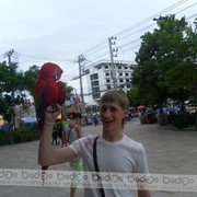 ���������� �����, ���� ������� ������, 36 ���, ������������ ��� ������, ����� � ���������, c�������� ���������, ���������