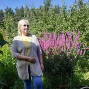 ���������� �����-���������, ���� ������� �������, 49 ���, ������������ ��� c�������� ���������