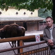 ���������� �����, ���� ������� ������, 40 ���, ������������ ��� ������