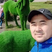 ���������� �������, ���� ������� �������, 37 ���, ������������ ��� ������, ����� � ���������