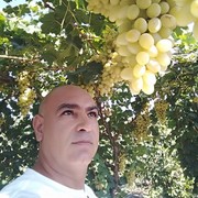  ,   , 50 ,   ,   , c , 