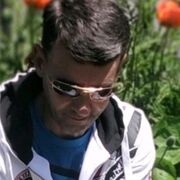  ,   , 53 ,   