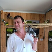  ,   , 30 ,   ,   , c , 