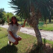 -,   , 66 ,   ,   , c , 