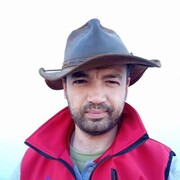  ,   Walbro, 31 ,   ,   