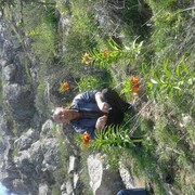  ,   , 50 ,   ,   , c , 