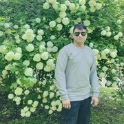  ,  B s v r, 37