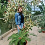  -,   , 50 ,   ,   , c 