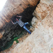 ���������� �������, ���� ������� Shalva, 40 ���, ������������ ��� ������