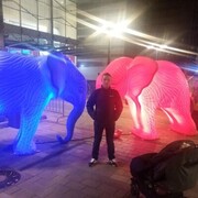  ,   , 42 ,   ,   , 