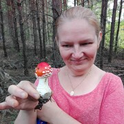 Myslowice,   , 49 ,   ,   , c 