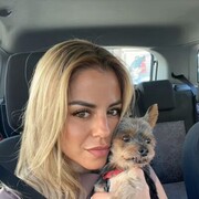 ���������� ����, ���� ������� �����, 44 ����, ������������ ��� ���������