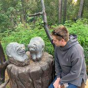 ���������� �����������, ���� ������� ������, 35 ���, ������������ ��� c�������� ���������, ���������