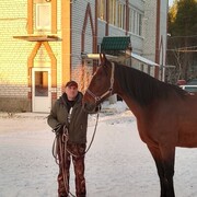  ,   , 52 ,   ,   