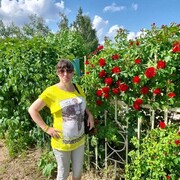 ���������� ��������, ���� ������� �����, 42 ����, ������������ ��� ������, ����� � ���������, c�������� ���������, ���������