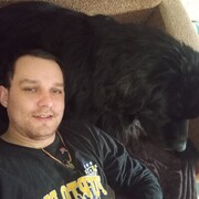 ���������� ��������������, ���� ������� ����, 31 ���, ������������ ��� ������, ����� � ���������