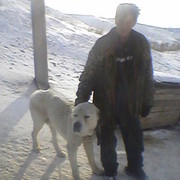 ���� ������ . ������������� ������������� �� ����� � ������.