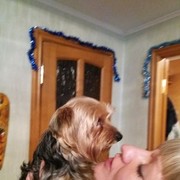 ���������� �������, ���� ������� �����, 43 ����, ������������ ��� ������, ����� � ���������, c�������� ���������