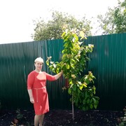 ���������� ��������, ���� ������� �������, 59 ���, ������������ 