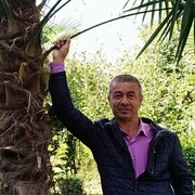  ,   , 65 ,     