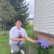 ���������� �������, ���� ������� ��������, 60 ���, ������������ ��� c�������� ���������, ���������