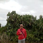 ���������� ����������, ���� ������� ���������, 62 ����, ������������ ��� ������, ����� � ���������, c�������� ���������