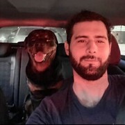 ���������� ������, ���� ������� Emre, 29 ���, ������������ ��� ������, ����� � ���������