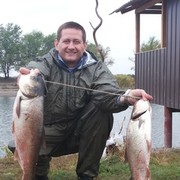  ,   , 48 ,   