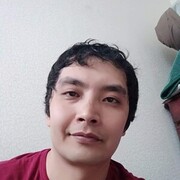  -,   , 41 ,  