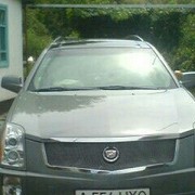 ���������� �����������, ���� ������� Timur, 44 ����, ������������ ��� ������