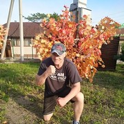 ���������� �����������, ���� ������� ����, 55 ���, ������������ ��� ����� � ���������, c�������� ���������