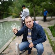 ���������� ������, ���� ������� ������, 36 ���, ������������ ��� ������, ����� � ���������