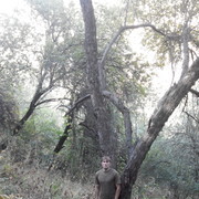  ,    , 37 ,   ,   , c 