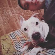 ���������� ���������� �����, ���� ������� �������, 34 ����, ������������ ��� ������, ����� � ���������, c�������� ���������