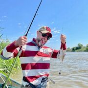 ���������� �����, ���� ������� ������, 48 ���, ������������ ��� ������