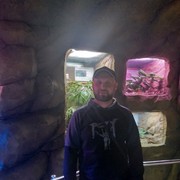 ���������� ����������, ���� ������� Alex, 43 ����, ������������ ��� ������, ����� � ���������, c�������� ���������