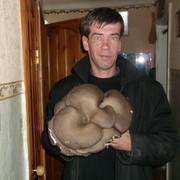 ���������� ������, ���� ������� �������, 51 ���, ������������ ��� ������