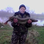  ,   , 61 ,   