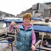 ���������� ������, ���� ������� ���������, 62 ����, ������������ ��� ����� � ���������, c�������� ���������