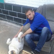 ���������� �������, ���� ������� NIKOLAi, 38 ���, ������������ ��� ������, ����� � ���������, c�������� ���������