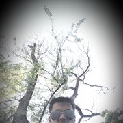 ���������� �������, ���� ������� Vitalik, 31 ���, ������������ ��� ����� � ���������, c�������� ���������