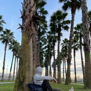 ���������� ������������, ���� ������� ������, 33 ����, ������������ ��� ����� � ���������, ���������